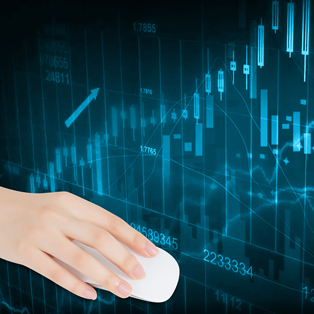 私募報告、金融數(shù)據(jù)處理項目